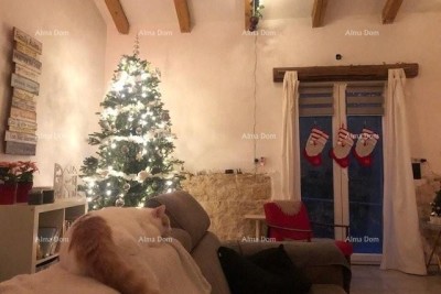 Kamena vila s dodatnim apartmanom i konobom , Sveti Lovreč