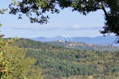 Baugrundstück mit schöner Aussicht auf die Hügel und die Natur