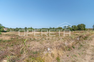 Plot Višnjan