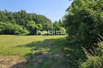 Porec 20 km, Tinjan surroundings - Building land in a quiet location