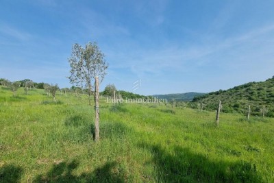 VICINO A BUJA! Più terreno edificabile con infrastrutture