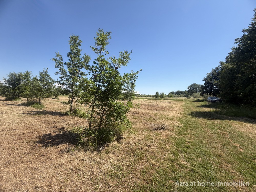 ROŠINI, bei Poreč und Tar, landwirtschaftliches Grundstück, 9700 m²