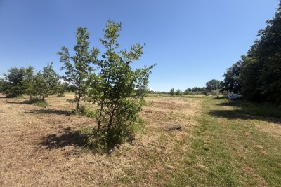 ROŠINI, bei Poreč und Tar, landwirtschaftliches Grundstück, 9700 m²