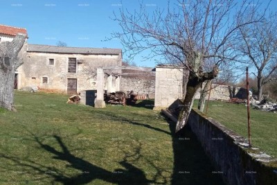 Pazin, Istra - dvije stare kamene kuće s velikim zemljištem