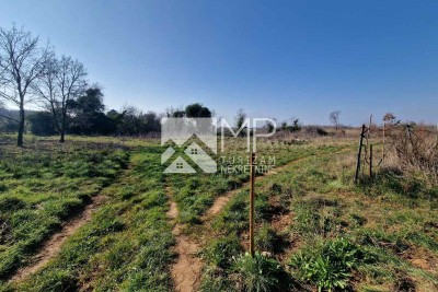 Agricultural land in Medulin - Your opportunity to invest in nature