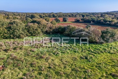 Terreno Lisignano