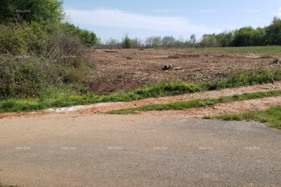 Building land
