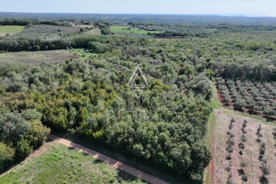 Istra, Kaštelir : Kmetijsko zemljišče 13.182 m²