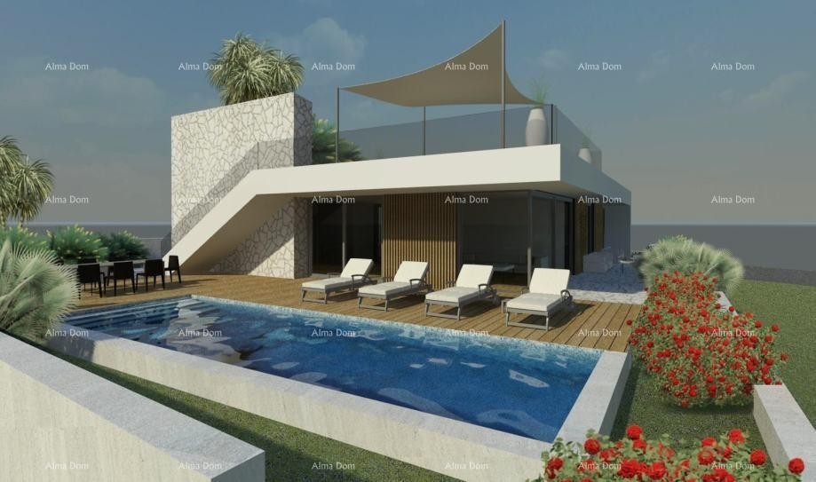 Haus