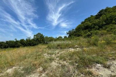 Građevinsko zemljište 800 m od centra, 1100m2