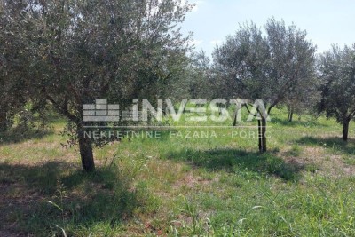 Land Poreč, 2.000m2