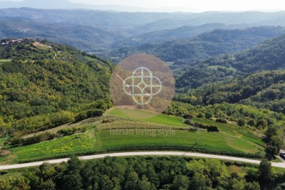 *Unglaubliche Lage* Baugrundstück an der istrischen Nordwestküste