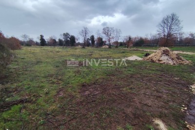 Landwirtschaftliche Fläche in der Nähe des Meeres