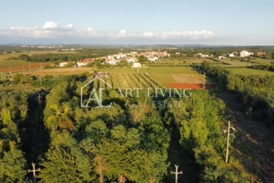Umag - surroundings, attractive building land for business and industrial use