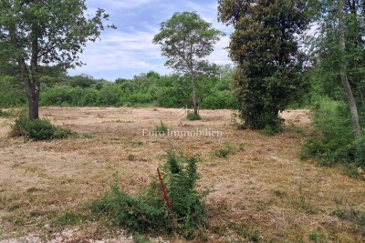 Istra – kmetijsko zemljišče z vodo