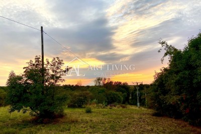 Umag-surroundings, attractive agricultural land with a view of the sea