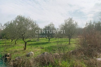 Prodaja, Zemljište, Poljoprivredna površina, Istarska županija, Poreč, Radmani