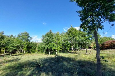 U okolici Višnjan - građevinsko zemljište, površine 1.813 m²