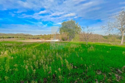 Poreč, Surroundings, Building Land with a View of Nature