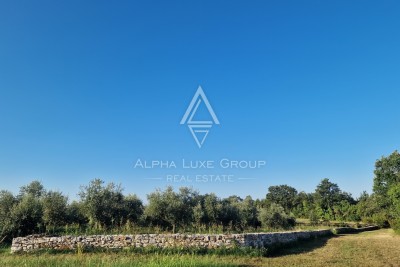 Prostrano zemljište za investiciju u mirnom okruženju blizu Umaga