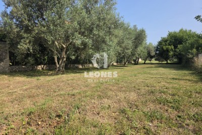 Tomt Umag