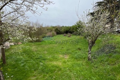 Istria, Canfanaro, terreno edificabile in ottima posizione